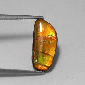 Ammolita multicolor natural de 3,60 ct, forma elegante, opaco