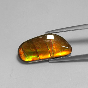 Ammolita multicolor natural de 3,60 ct, forma elegante, opaco