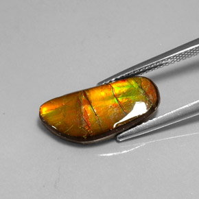 Ammolita multicolor natural de 3,60 ct, forma elegante, opaco