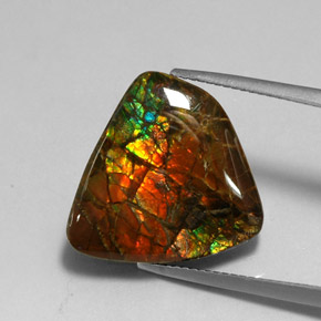 amolita Multicolor natural de 11.39 ct, Forma elegante, Opaco