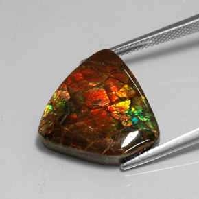 amolita Multicolor natural de 11.39 ct, Forma elegante, Opaco