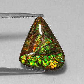 amolita Multicolor natural de 7.79 ct, Forma elegante, Opaco