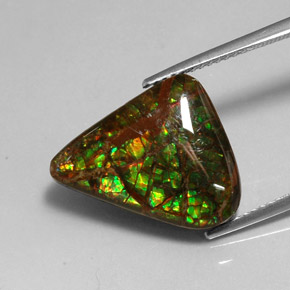 amolita Multicolor natural de 7.79 ct, Forma elegante, Opaco