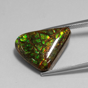 amolita Multicolor natural de 7.79 ct, Forma elegante, Opaco
