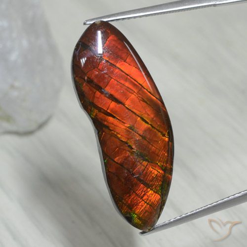 15.54ct Natural Multicolor amolita, Elegante, Opaco