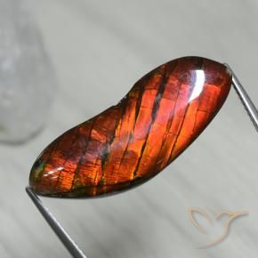 amolita Multicolor natural de 15.54 ct, Elegante, Opaco