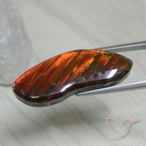 amolita Multicolor natural de 15.54 ct, Elegante, Opaco
