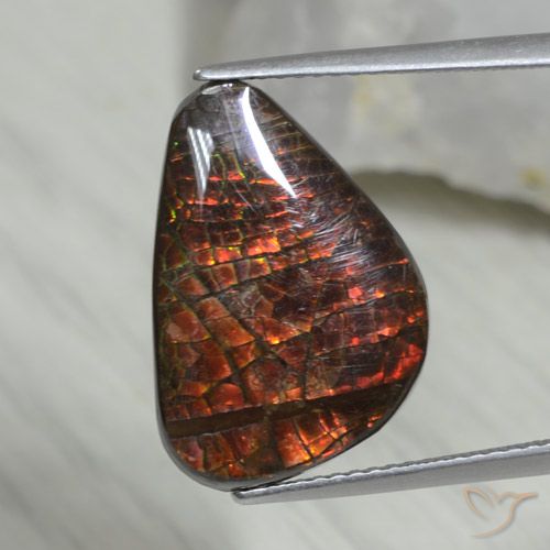 8.09ct Natural Multicolor amolita, Elegante, Opaco