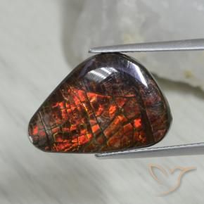 amolita Multicolor natural de 8.09 ct, Elegante, Opaco