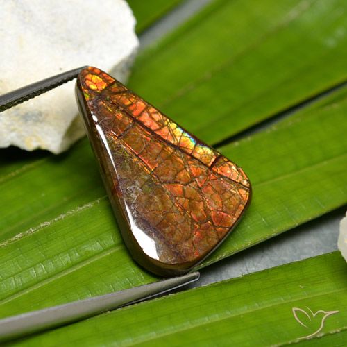 15.23ct Natural Multicolor amolita, Elegante, Opaco