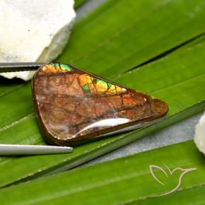 amolita Multicolor natural de 15.23 ct, Elegante, Opaco