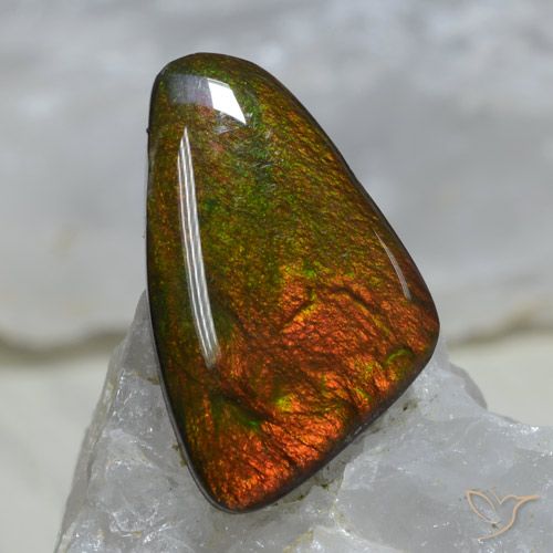 8.89ct Natural Multicolor amolita, Elegante, Opaco