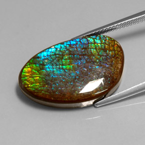 amolita Multicolor natural de 16.45 ct, Forma elegante, Opaco