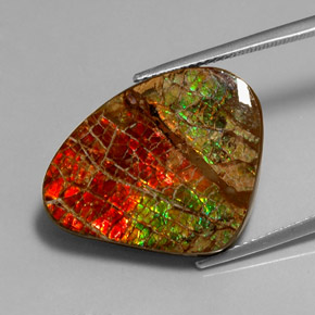 Ammolita multicolor natural de 17,71 ct, forma elegante, opaco