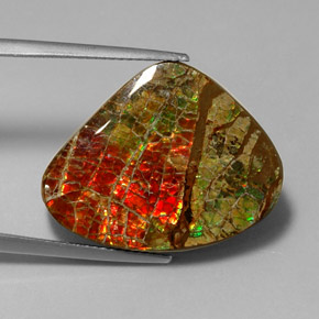 Ammolita multicolor natural de 17,71 ct, forma elegante, opaco