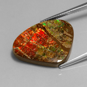 Ammolita multicolor natural de 17,71 ct, forma elegante, opaco