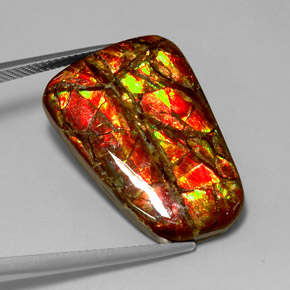 Ammolita multicolor natural de 18,54 ct, forma elegante, opaco