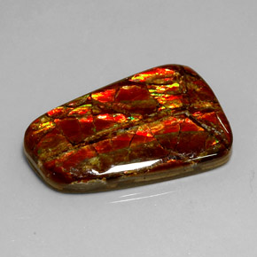 Ammolita multicolor natural de 18,54 ct, forma elegante, opaco