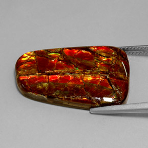 Ammolita multicolor natural de 18,54 ct, forma elegante, opaco
