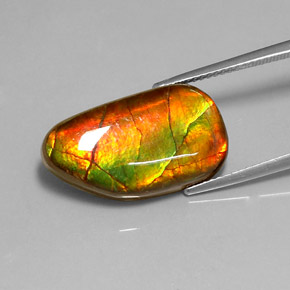 amolita Multicolor natural de 10.78 ct, Forma elegante, Opaco