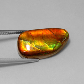 amolita Multicolor natural de 10.78 ct, Forma elegante, Opaco
