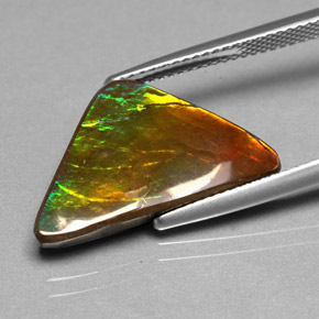 Ammolita multicolor natural de 6,98 ct, forma elegante, opaco