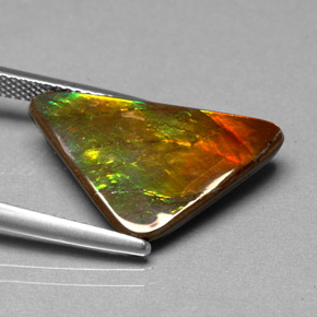 Ammolita multicolor natural de 6,98 ct, forma elegante, opaco