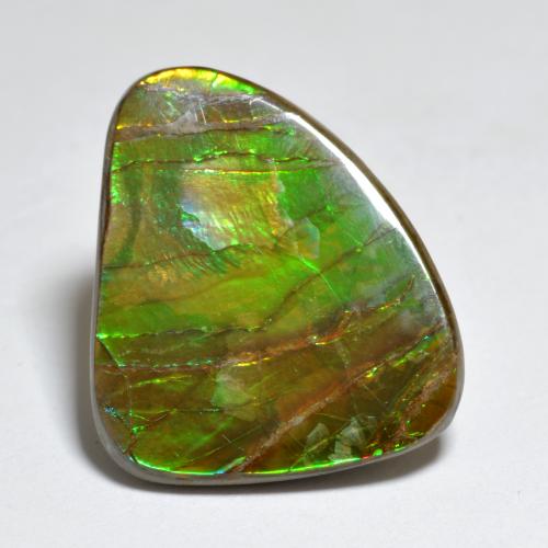 Ammolita multicolor natural de 7,29 ct, forma elegante, opaco