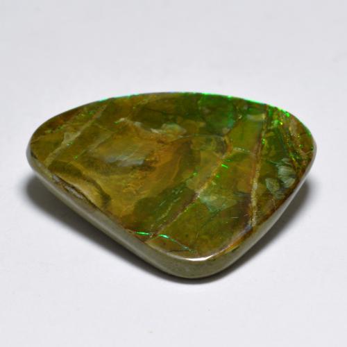 Ammolita multicolor natural de 7,29 ct, forma elegante, opaco