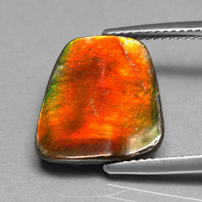Ammolita multicolor natural de 5,17 ct, forma elegante, opaco