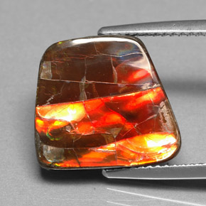 Ammolita multicolor natural de 6,70 ct, forma elegante, opaco