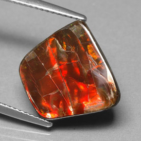 Ammolita multicolor natural de 6,70 ct, forma elegante, opaco