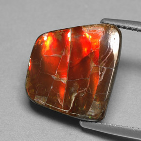 Ammolita multicolor natural de 6,70 ct, forma elegante, opaco
