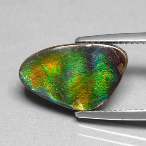 Ammolita multicolor natural de 4,54 ct, forma elegante, opaco