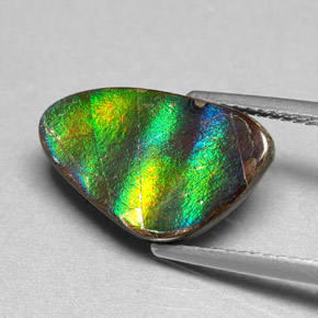 Ammolita multicolor natural de 4,54 ct, forma elegante, opaco