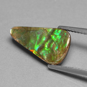 Ammolita multicolor natural de 2,40 ct, forma elegante, opaco