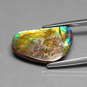 Ammolita multicolor natural de 9,00 ct, forma elegante, opaco