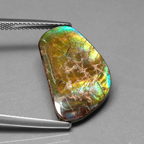 Ammolita multicolor natural de 9,00 ct, forma elegante, opaco