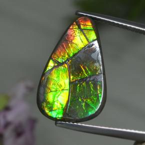 Ammolita multicolor natural de 8,39 ct, forma elegante, opaco