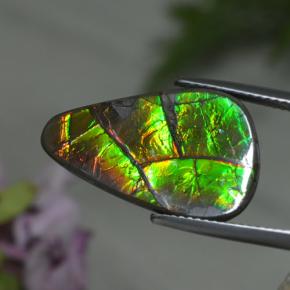 Ammolita multicolor natural de 8,39 ct, forma elegante, opaco