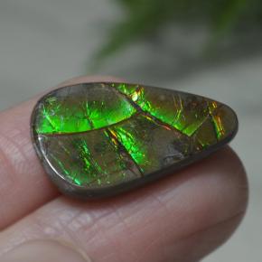 Ammolita multicolor natural de 8,39 ct, forma elegante, opaco