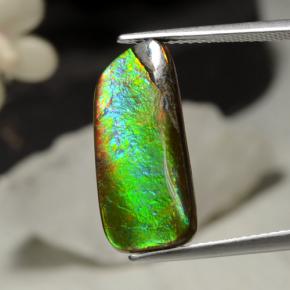Ammolita multicolor natural de 5,29 ct, forma elegante, opaco
