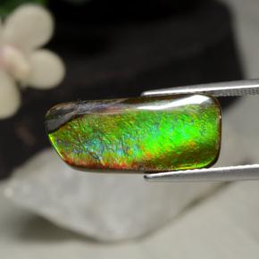 Ammolita multicolor natural de 5,29 ct, forma elegante, opaco