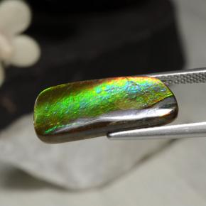 Ammolita multicolor natural de 5,29 ct, forma elegante, opaco