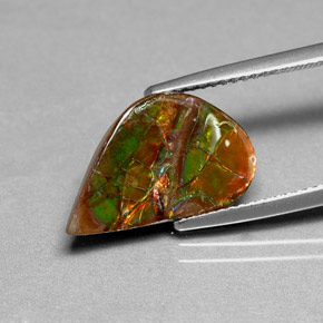 Ammolita multicolor natural de 3,59 ct, forma elegante, opaco