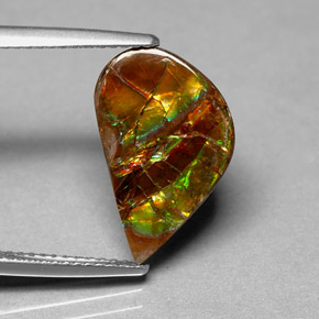 Ammolita multicolor natural de 3,59 ct, forma elegante, opaco