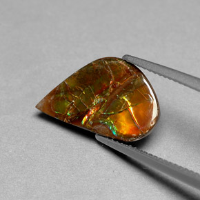 Ammolita multicolor natural de 3,59 ct, forma elegante, opaco