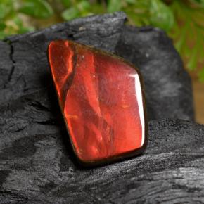 amolita Multicolor natural de 6.67 ct, Forma elegante, Opaco