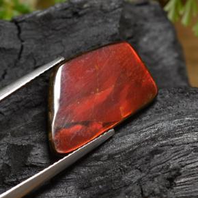 amolita Multicolor natural de 6.67 ct, Forma elegante, Opaco