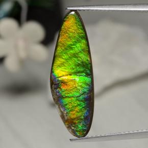 Ammolita multicolor natural de 5,43 ct, forma elegante, opaco